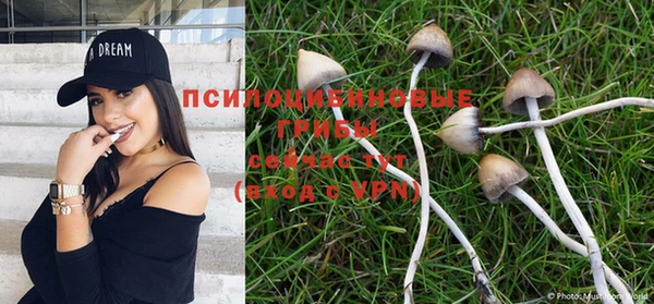 мет Абинск