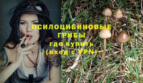 кокс Абаза