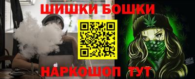 индика Вышний Волочёк