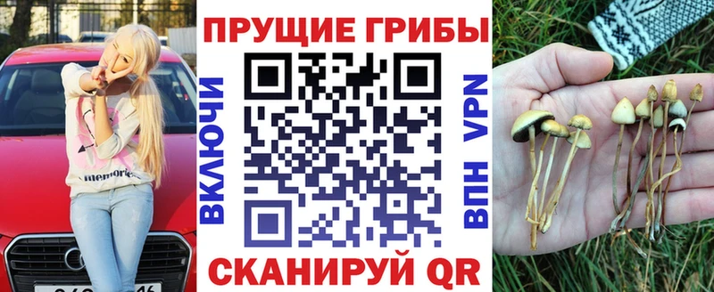 Галлюциногенные грибы Cubensis  сколько стоит  Барнаул 